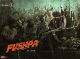 Allu arjun, pushpa, bunny, rashmika mandanna, pushpa release date, allu arjun pushpa, pushpa raj, sukumar, అల్లు అర్జున్, పుష్ప, రిలీజ్ డేట్, సుకుమార్, బన్నీ, రష్మిక మందన్నా, పుష్ప రిలీజ్ డేట్