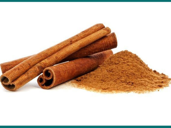 Cinnamon Benefits, Dalchini, Cinnamon uses, Dalchini chekka, దాల్చిన చెక్క, దాల్చిన చెక్క ప్రయోజనాలు