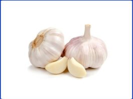 garlic, uses, benefits, garlic benefits, garlic uses, health, body, వెల్లుల్లి, వెల్లుల్లితో ఉపయోగాలు, ఆరోగ్యం, జస్ట్ టీజర్