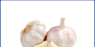 garlic, uses, benefits, garlic benefits, garlic uses, health, body, వెల్లుల్లి, వెల్లుల్లితో ఉపయోగాలు, ఆరోగ్యం, జస్ట్ టీజర్