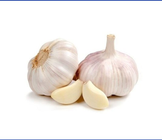 garlic, uses, benefits, garlic benefits, garlic uses, health, body, వెల్లుల్లి, వెల్లుల్లితో ఉపయోగాలు, ఆరోగ్యం, జస్ట్ టీజర్