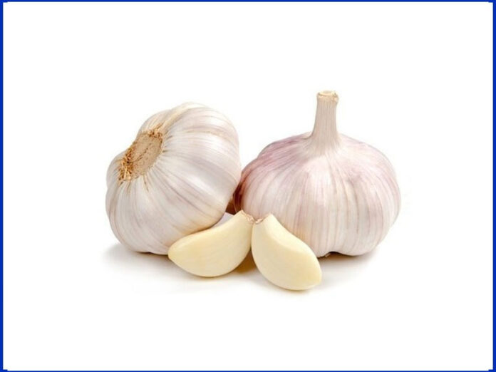 garlic, uses, benefits, garlic benefits, garlic uses, health, body, వెల్లుల్లి, వెల్లుల్లితో ఉపయోగాలు, ఆరోగ్యం, జస్ట్ టీజర్