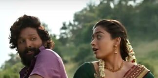 All Time Records on Pushpa Saami Saami Song