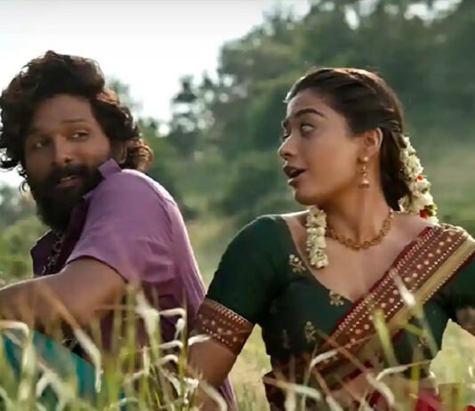 All Time Records on Pushpa Saami Saami Song