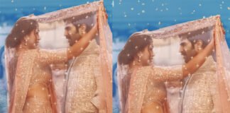 విజయ్ దేవరకొండ "ఫ్యామిలీ స్టార్" నుండి కొత్త సాంగ్ విడుదుల New Song Released From Vijay Deverakonda Family Star Movie