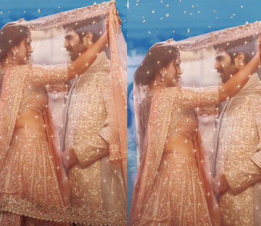 విజయ్ దేవరకొండ "ఫ్యామిలీ స్టార్" నుండి కొత్త సాంగ్ విడుదుల New Song Released From Vijay Deverakonda Family Star Movie